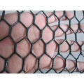 PVC Coated Green Wire Mesh Hexagonal Fencing